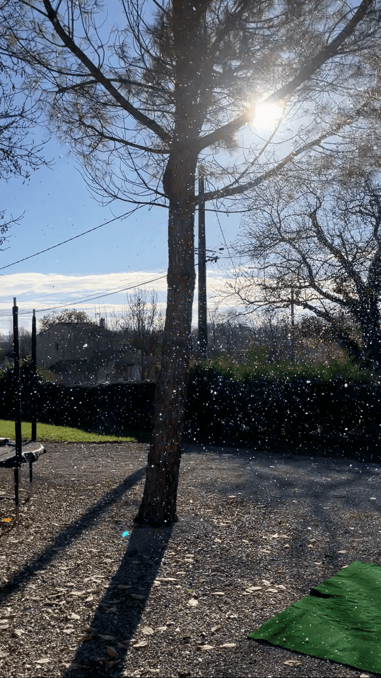 LA MACHINE A NEIGE